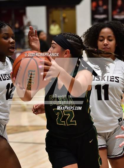 Thumbnail 3 in JV: Basha @ Hamilton photogallery.