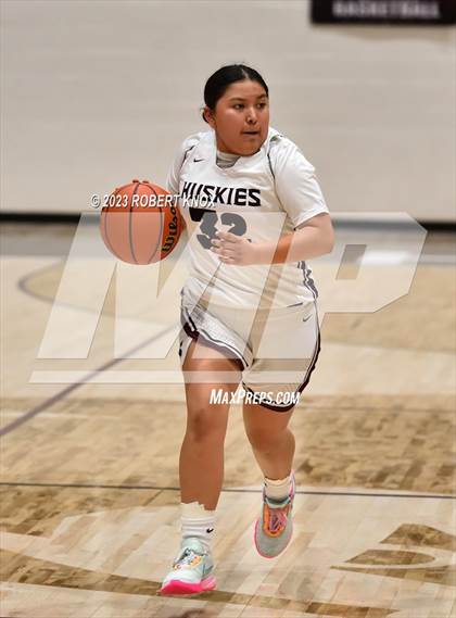 Thumbnail 1 in JV: Basha @ Hamilton photogallery.