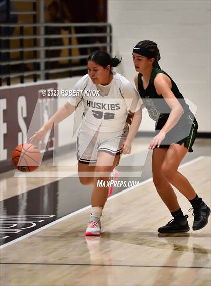 Thumbnail 3 in JV: Basha @ Hamilton photogallery.