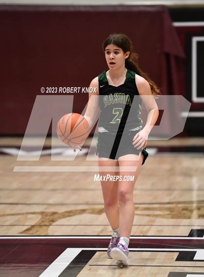 Thumbnail 1 in JV: Basha @ Hamilton photogallery.