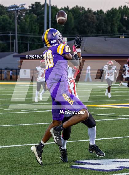 Thumbnail 1 in Center Hill @ DeSoto Central photogallery.