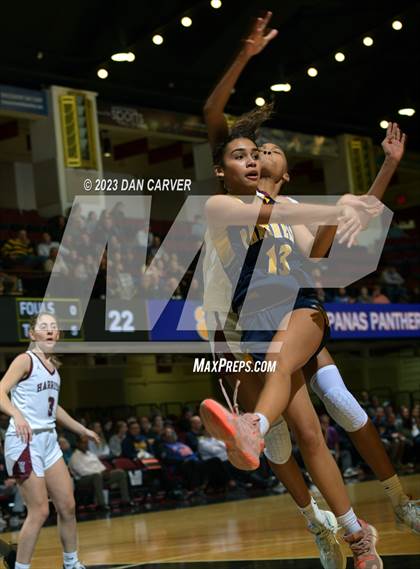 Thumbnail 2 in Walter Panas vs. Harrison (NYSPHSAA  Section 1 Class A Final) photogallery.