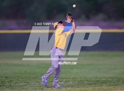 Thumbnail 1 in Brock @ Millsap photogallery.