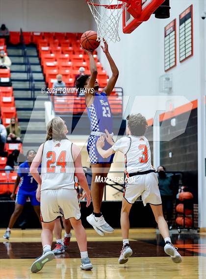 Thumbnail 1 in Brewer @ Aledo photogallery.