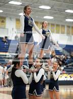 Photo from the gallery "Falcon @ Palmer Ridge"