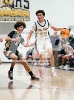 Photo from the gallery "Falcon @ Palmer Ridge"