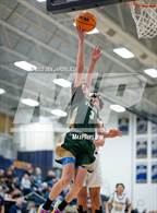Photo from the gallery "Falcon @ Palmer Ridge"
