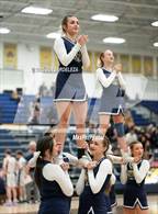 Photo from the gallery "Falcon @ Palmer Ridge"