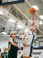 Photo from the gallery "Falcon @ Palmer Ridge"