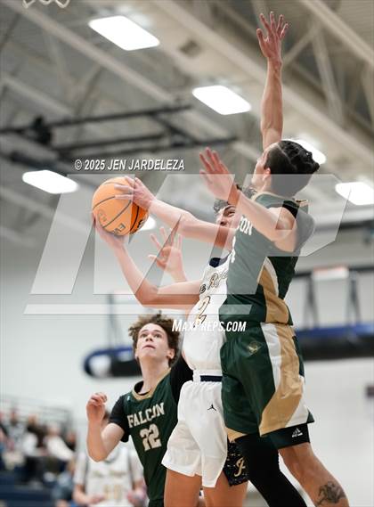Thumbnail 3 in Falcon @ Palmer Ridge photogallery.