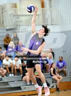 Photo from the gallery "Lyman @ Winter Springs"