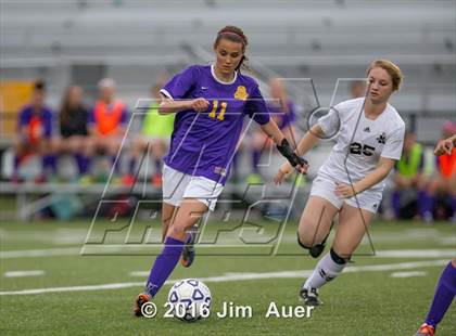 Thumbnail 1 in Tallwood @ Kellam photogallery.