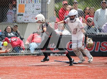 Thumbnail 2 in Logan Elm vs Hillsboro (OHSAA D4 Regional Final) photogallery.