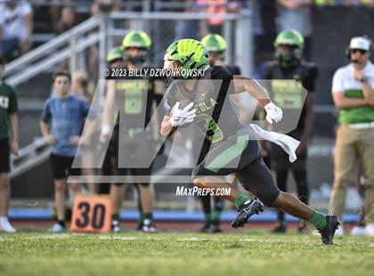 Thumbnail 3 in Manatee @ Lake Minneola photogallery.