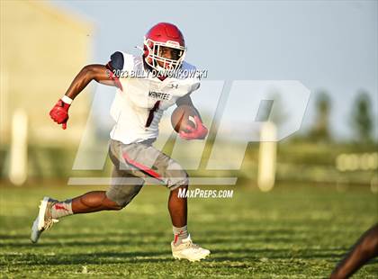 Thumbnail 2 in Manatee @ Lake Minneola photogallery.