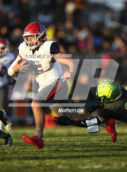 Thumbnail 3 in Manatee @ Lake Minneola photogallery.