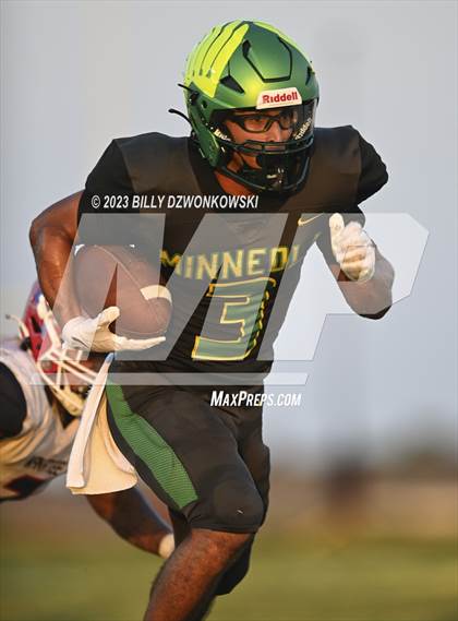 Thumbnail 1 in Manatee @ Lake Minneola photogallery.