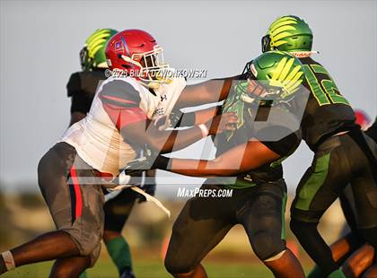 Thumbnail 1 in Manatee @ Lake Minneola photogallery.