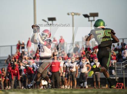 Thumbnail 3 in Manatee @ Lake Minneola photogallery.