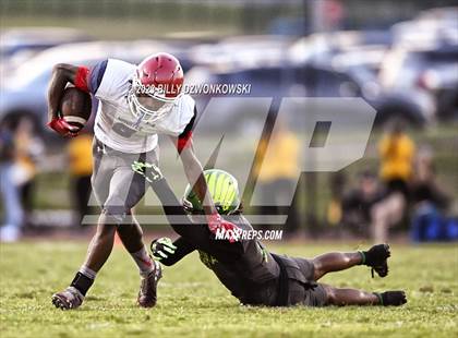 Thumbnail 3 in Manatee @ Lake Minneola photogallery.