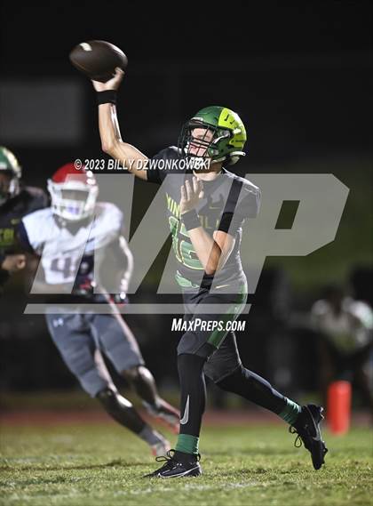 Thumbnail 3 in Manatee @ Lake Minneola photogallery.
