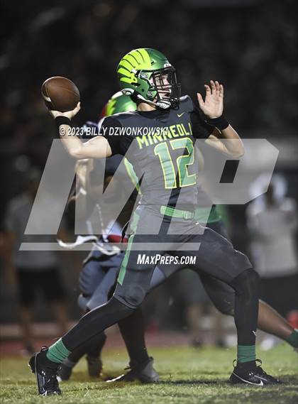 Thumbnail 1 in Manatee @ Lake Minneola photogallery.
