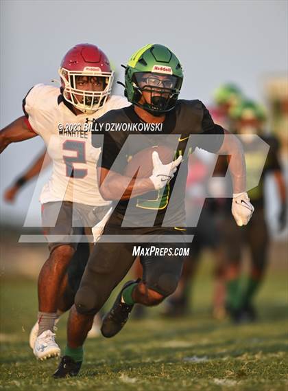 Thumbnail 2 in Manatee @ Lake Minneola photogallery.