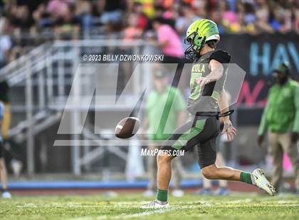 Thumbnail 2 in Manatee @ Lake Minneola photogallery.