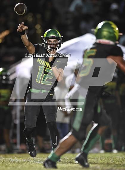 Thumbnail 1 in Manatee @ Lake Minneola photogallery.