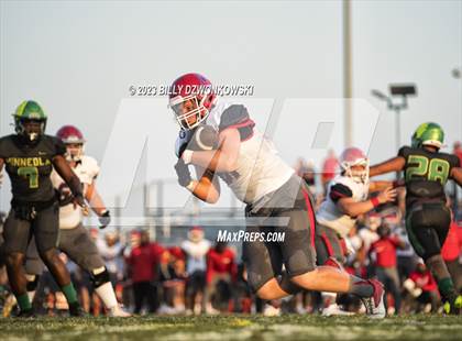 Thumbnail 1 in Manatee @ Lake Minneola photogallery.