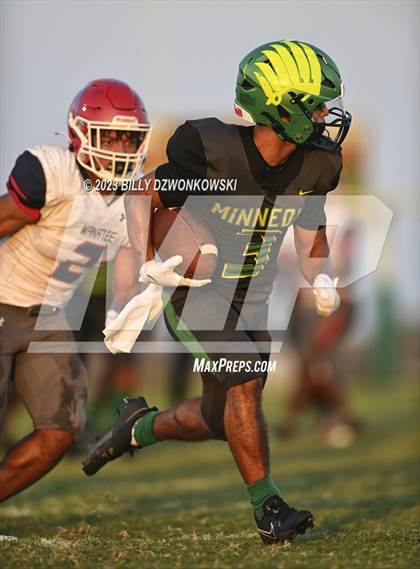 Thumbnail 3 in Manatee @ Lake Minneola photogallery.