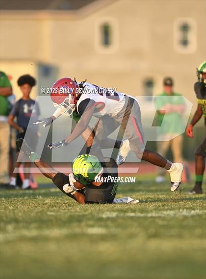 Thumbnail 1 in Manatee @ Lake Minneola photogallery.