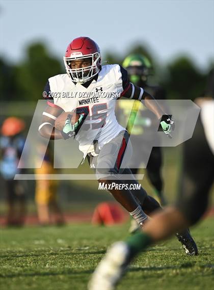 Thumbnail 2 in Manatee @ Lake Minneola photogallery.