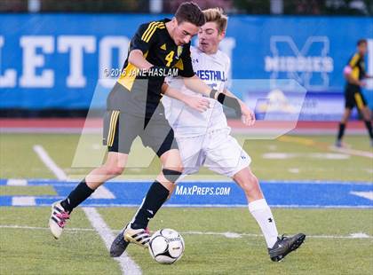 Thumbnail 1 in Hastings vs. Westhill (NYSPHSAA Class B Final) photogallery.