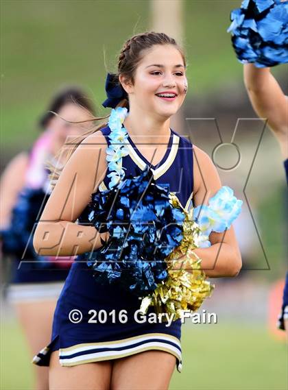 Thumbnail 1 in Cleveland @ Soddy Daisy photogallery.