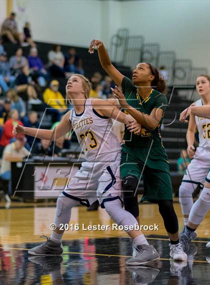 Thumbnail 3 in Poth vs. Cole (3A Area Playoffs) photogallery.
