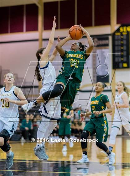 Thumbnail 2 in Poth vs. Cole (3A Area Playoffs) photogallery.