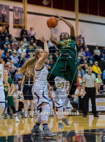 Thumbnail 3 in Poth vs. Cole (3A Area Playoffs) photogallery.