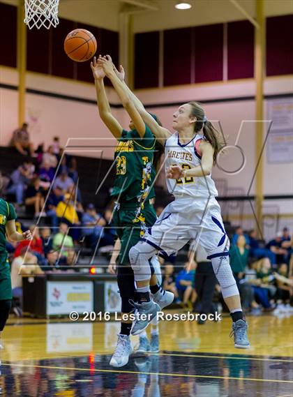 Thumbnail 1 in Poth vs. Cole (3A Area Playoffs) photogallery.