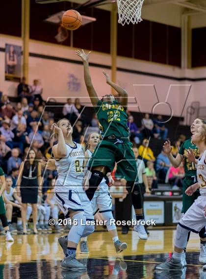 Thumbnail 1 in Poth vs. Cole (3A Area Playoffs) photogallery.