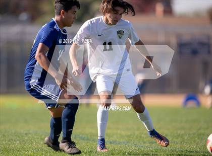 Thumbnail 3 in El Dorado @ Sonora photogallery.