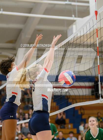 Thumbnail 1 in Pine Forest @ Terry Sanford photogallery.