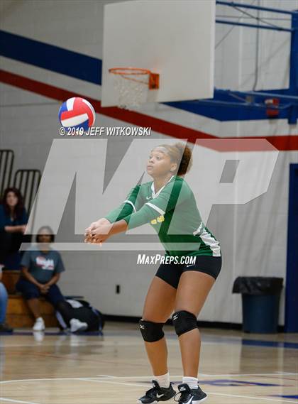 Thumbnail 3 in Pine Forest @ Terry Sanford photogallery.
