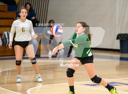 Thumbnail 3 in Pine Forest @ Terry Sanford photogallery.