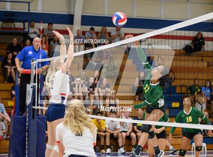Thumbnail 2 in Pine Forest @ Terry Sanford photogallery.