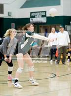 Photo from the gallery "Green Mountain @ Conifer"