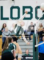 Photo from the gallery "Green Mountain @ Conifer"