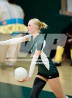 Photo from the gallery "Green Mountain @ Conifer"