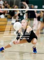 Photo from the gallery "Green Mountain @ Conifer"