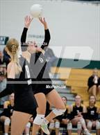 Photo from the gallery "Green Mountain @ Conifer"